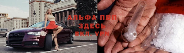 стафф Снежинск