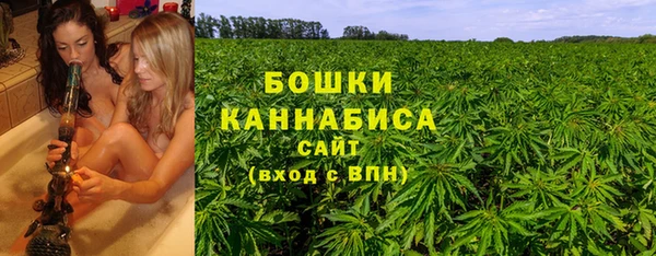 дживик Слюдянка
