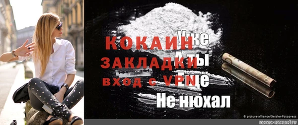 дживик Снежногорск
