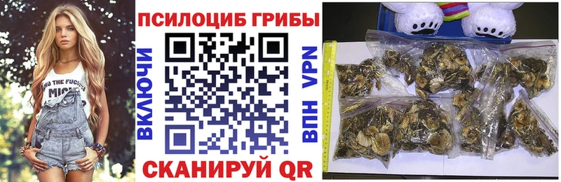даркнет сайт Дно Псилоцибиновые грибы Psilocybe